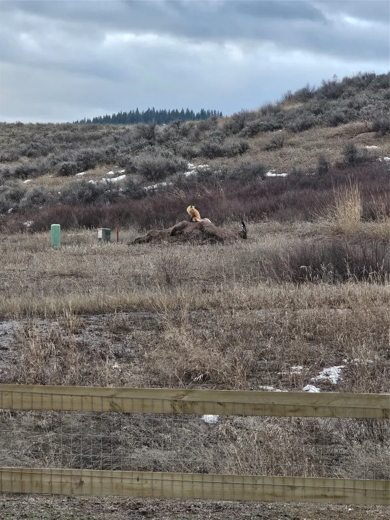 10235 Pale Morning Court Missoula MT 59808