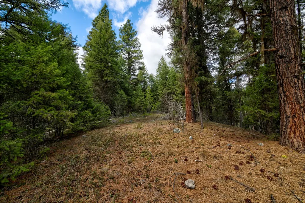 Nhn Ravenwood Road Darby MT 59829