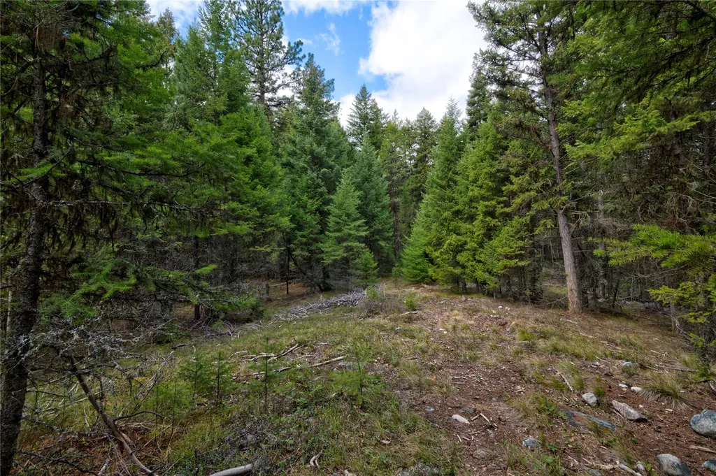 Nhn Ravenwood Road Darby MT 59829