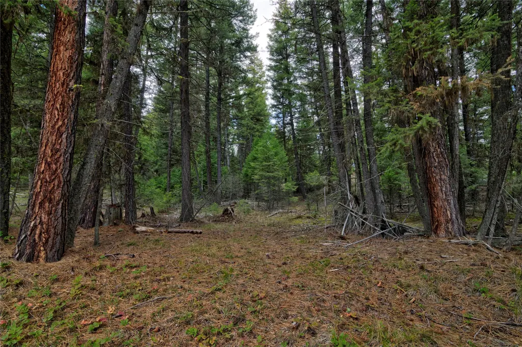 Nhn Ravenwood Road Darby MT 59829