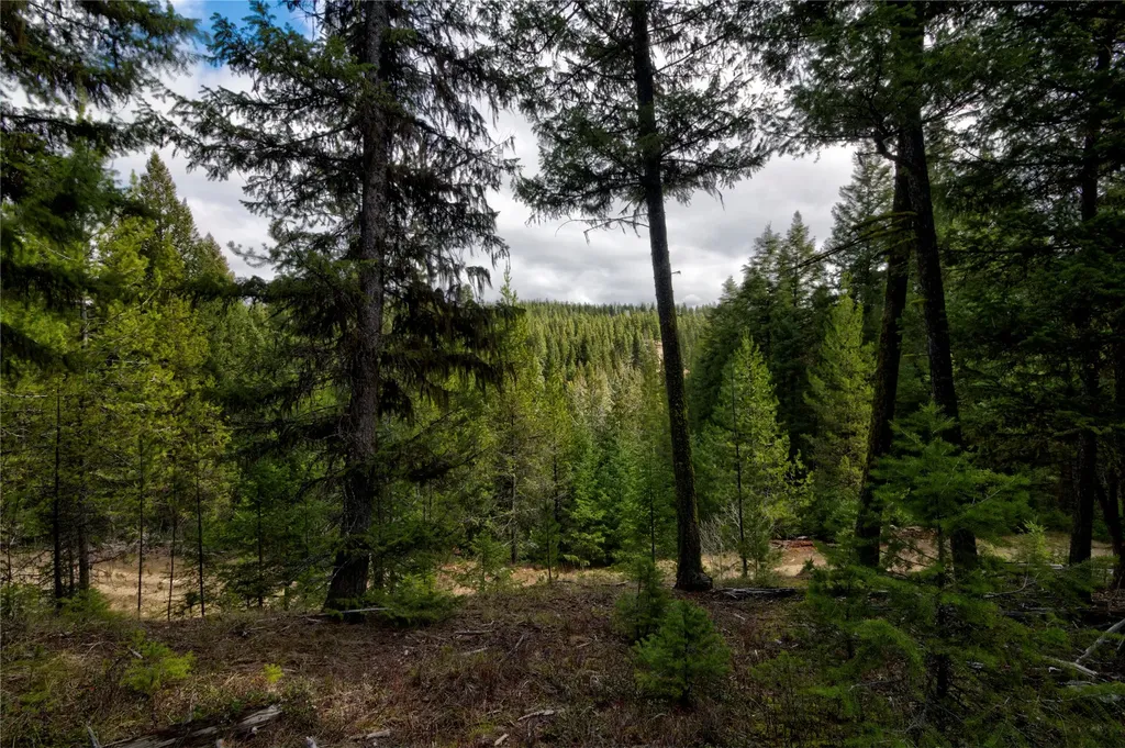Nhn Ravenwood Road Darby MT 59829