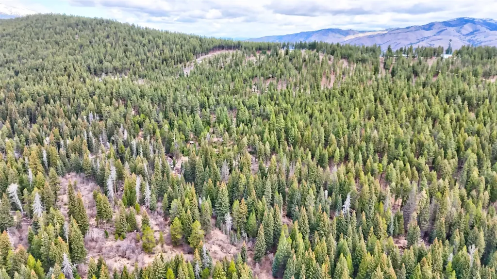 Nhn Ravenwood Road Darby MT 59829