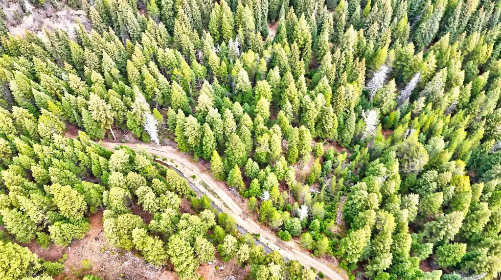 Nhn Ravenwood Road Darby MT 59829