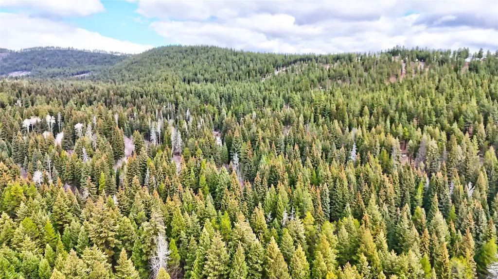 Nhn Ravenwood Road Darby MT 59829