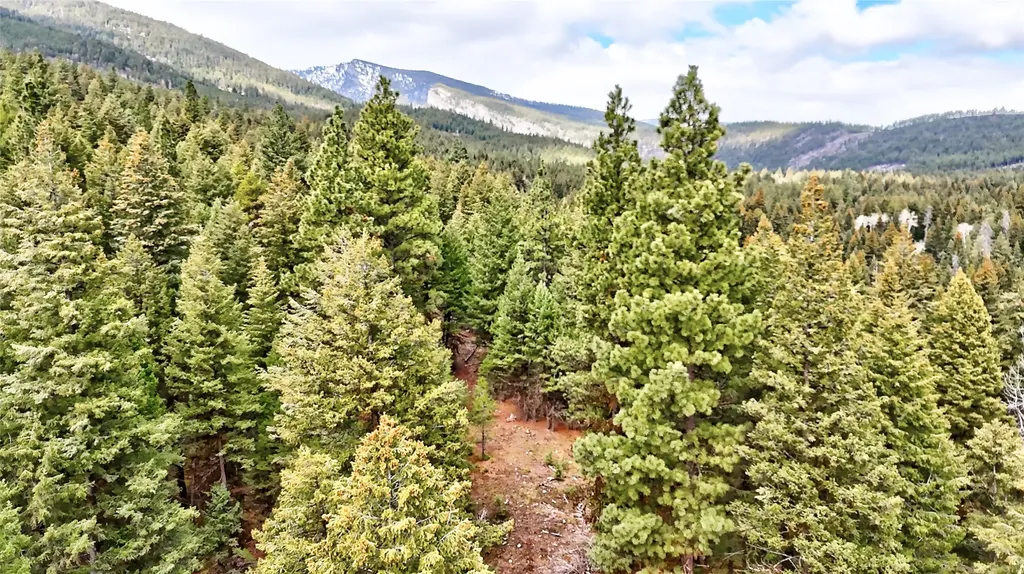 Nhn Ravenwood Road Darby MT 59829