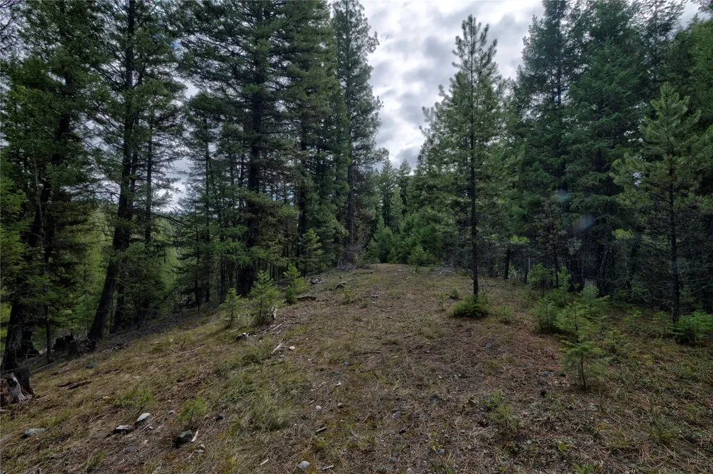 Nhn Ravenwood Road Darby MT 59829