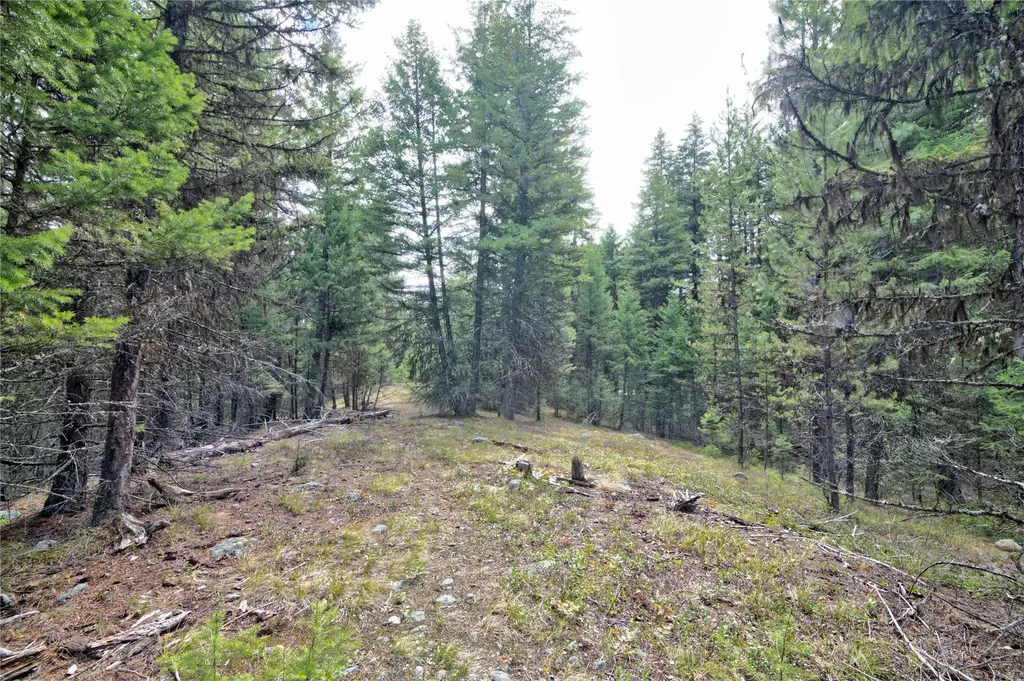 Nhn Ravenwood Road Darby MT 59829