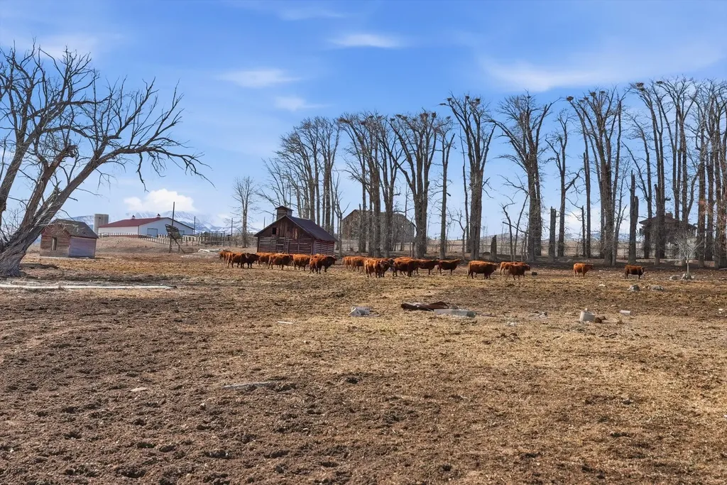 283 Cummoch Drive Deer Lodge MT 59722