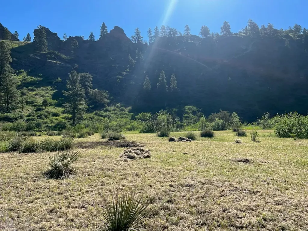 20 Eagle Rock Lane Cascade MT 59421
