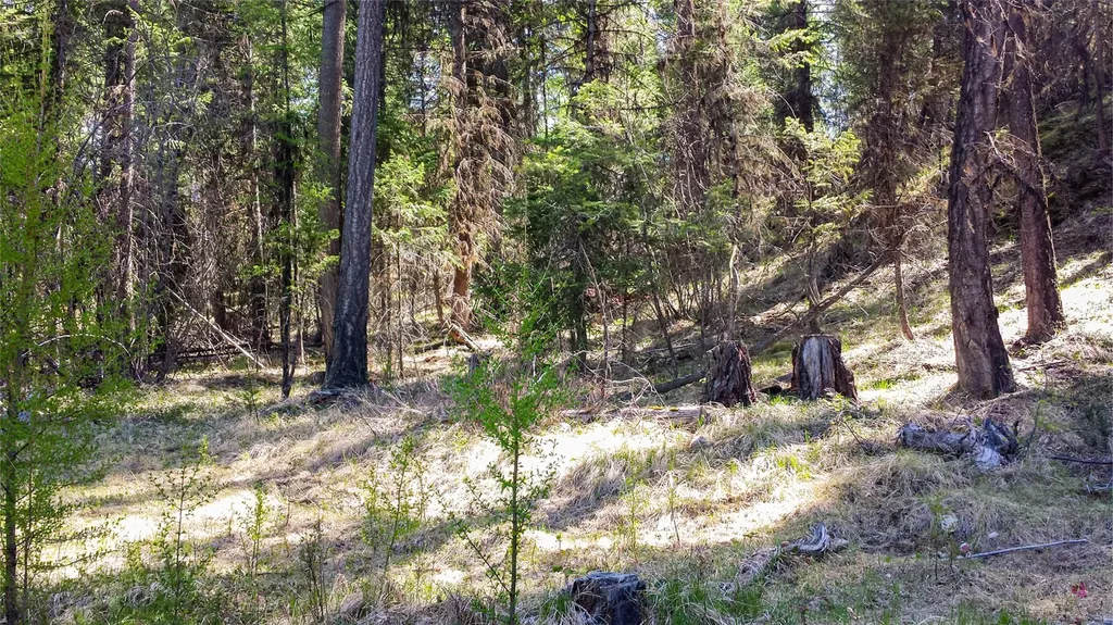 Lot 7 Whispering Pines Fortine MT 59918