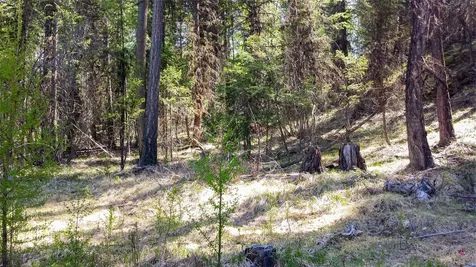 Lot 7 Whispering Pines Fortine MT 59918