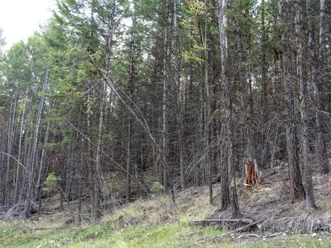 Lot 7 Whispering Pines Fortine MT 59918