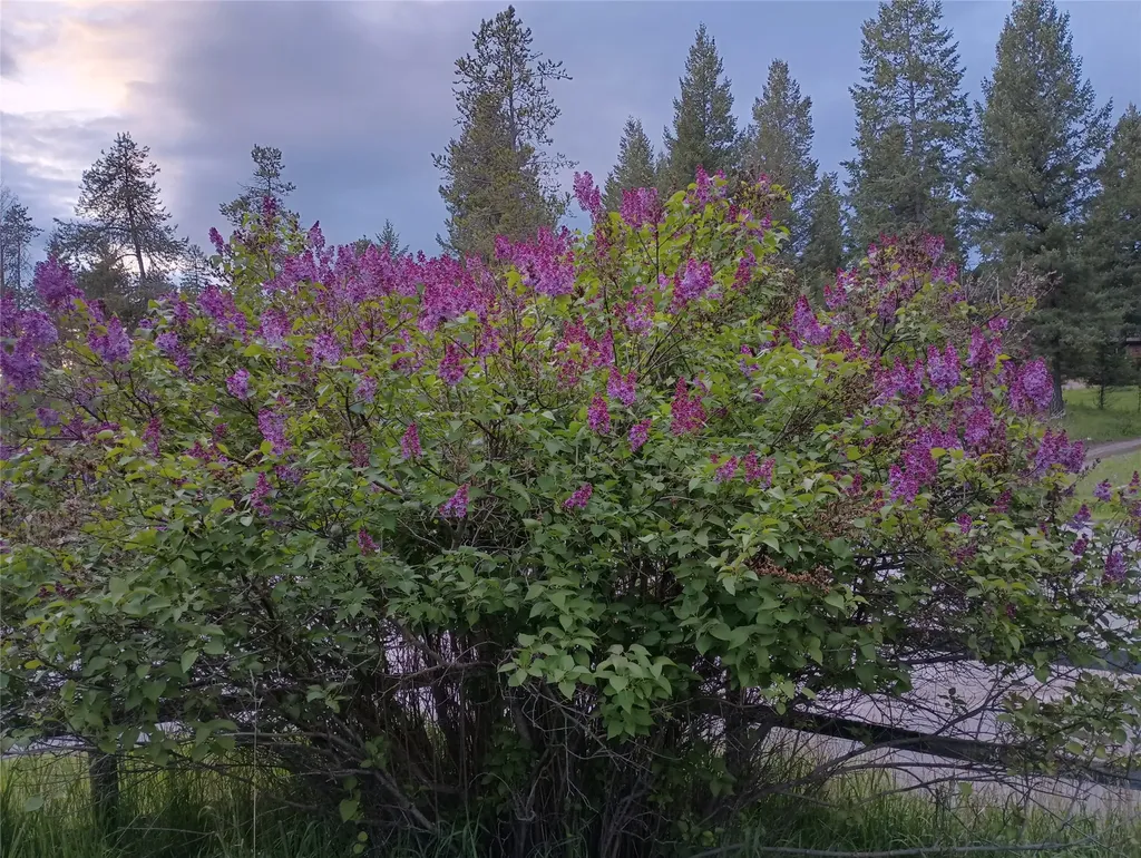 1785 Hodgson Road Whitefish MT 59937