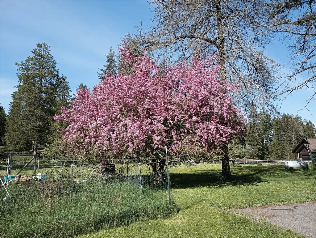1785 Hodgson Road Whitefish MT 59937