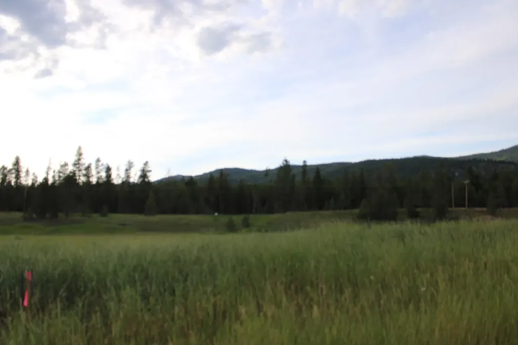 50 Baron Lane Eureka MT 59917