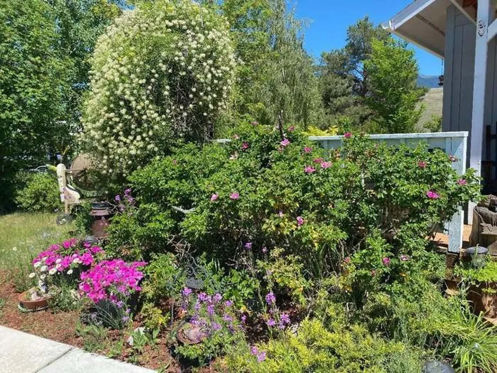 50 Baron Lane Eureka MT 59917