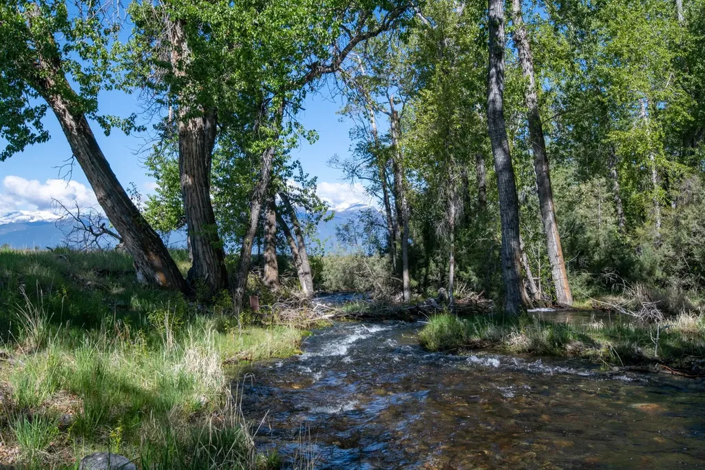 25-A Drovers Trail Stevensville MT 59870