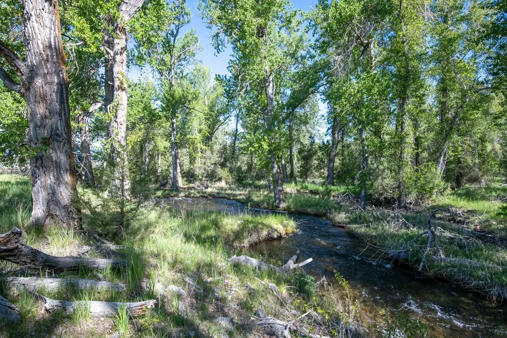25-A Drovers Trail Stevensville MT 59870