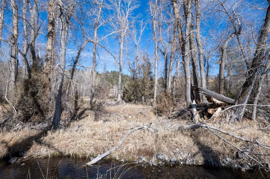 25-A Drovers Trail Stevensville MT 59870
