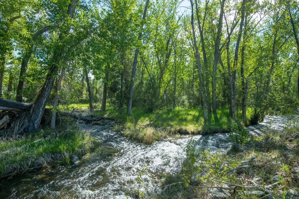 25-A Drovers Trail Stevensville MT 59870