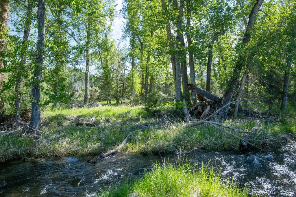 25-A Drovers Trail Stevensville MT 59870