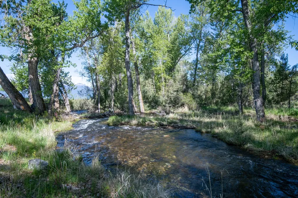 25-A Drovers Trail Stevensville MT 59870