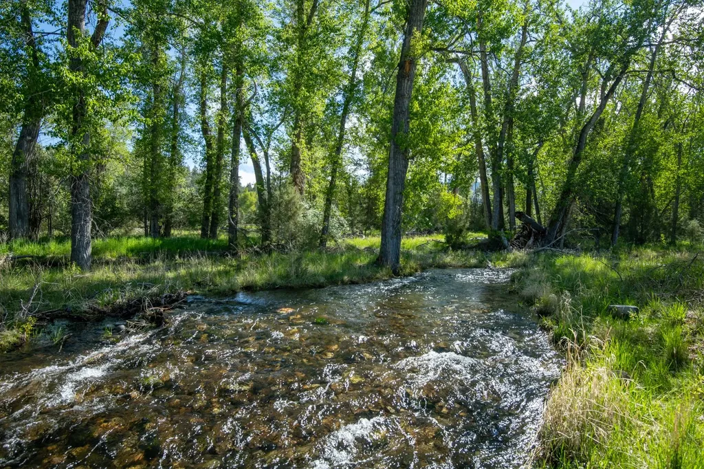 25-A Drovers Trail Stevensville MT 59870