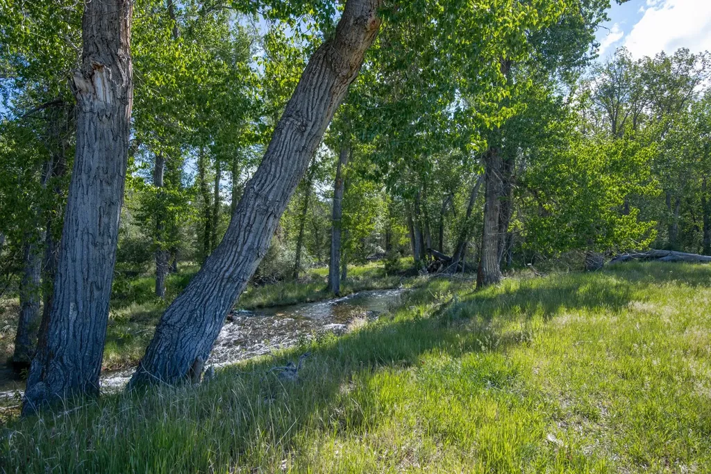25-A Drovers Trail Stevensville MT 59870
