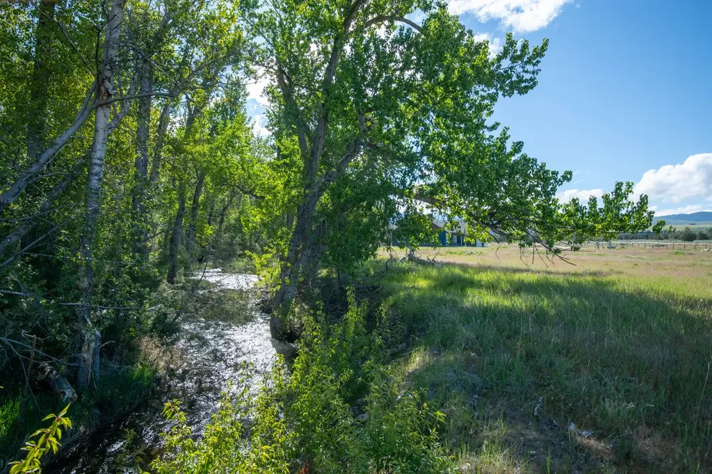 25-A Drovers Trail Stevensville MT 59870