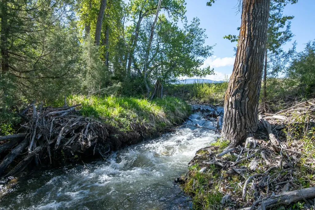 25-A Drovers Trail Stevensville MT 59870