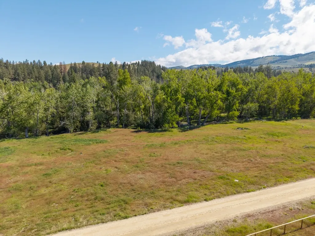 25-A Drovers Trail Stevensville MT 59870