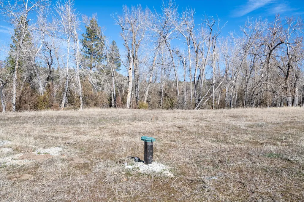 25-A Drovers Trail Stevensville MT 59870