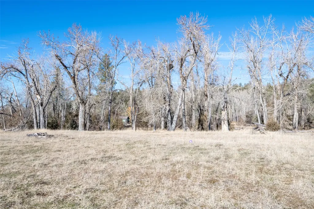 25-A Drovers Trail Stevensville MT 59870