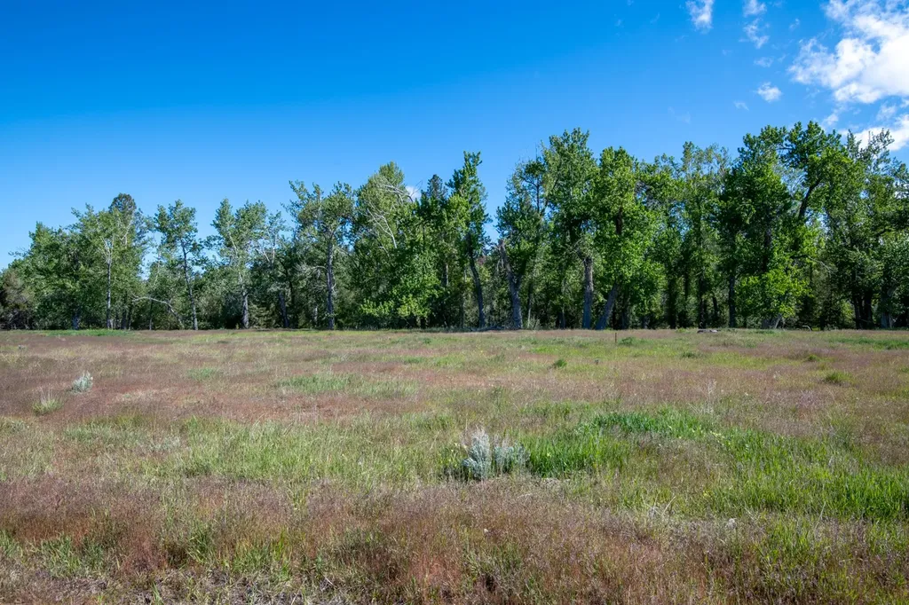 25-A Drovers Trail Stevensville MT 59870