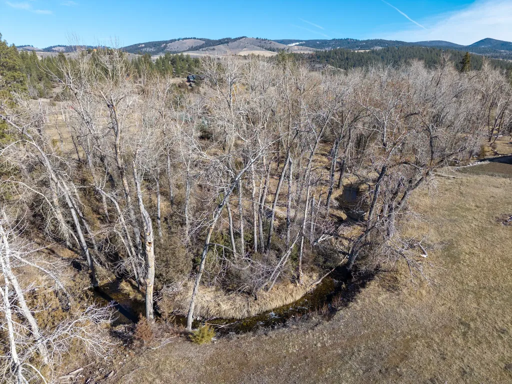 25-A Drovers Trail Stevensville MT 59870