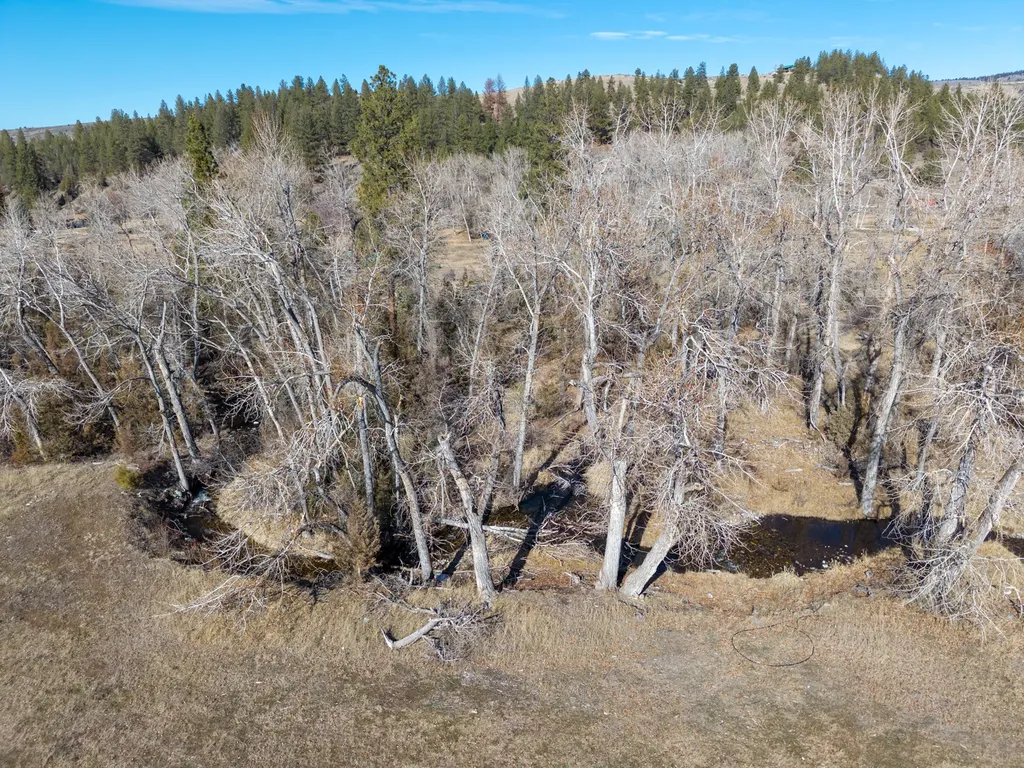 25-A Drovers Trail Stevensville MT 59870