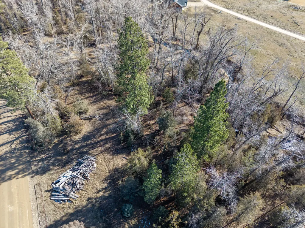25-A Drovers Trail Stevensville MT 59870