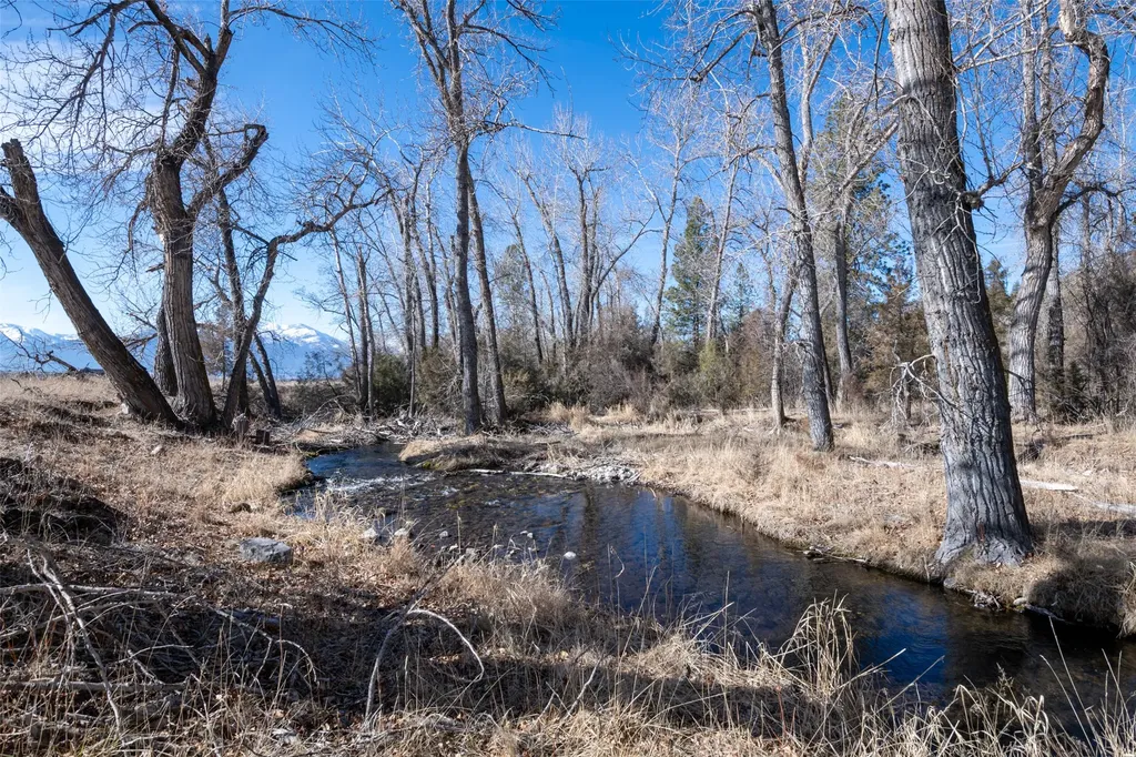 25-A Drovers Trail Stevensville MT 59870