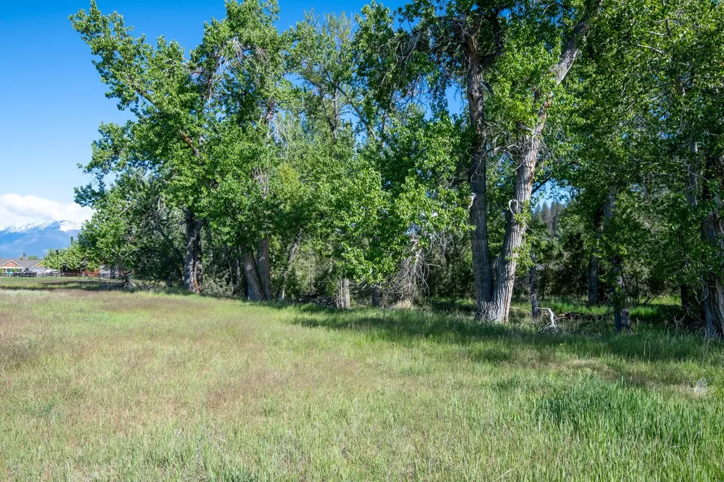 25-A Drovers Trail Stevensville MT 59870