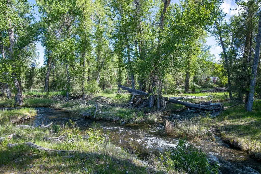 25-A Drovers Trail Stevensville MT 59870