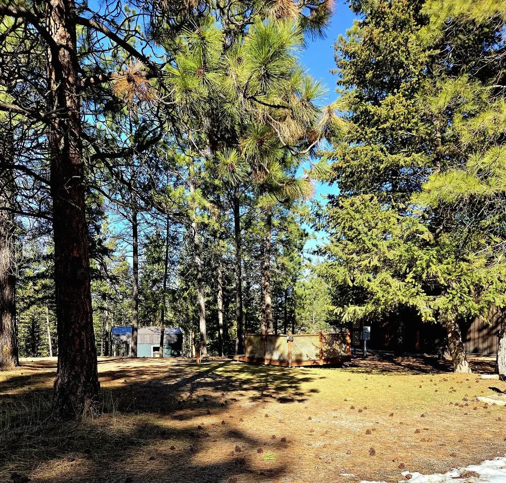 64 Kokanee Drive W Rexford MT 59930