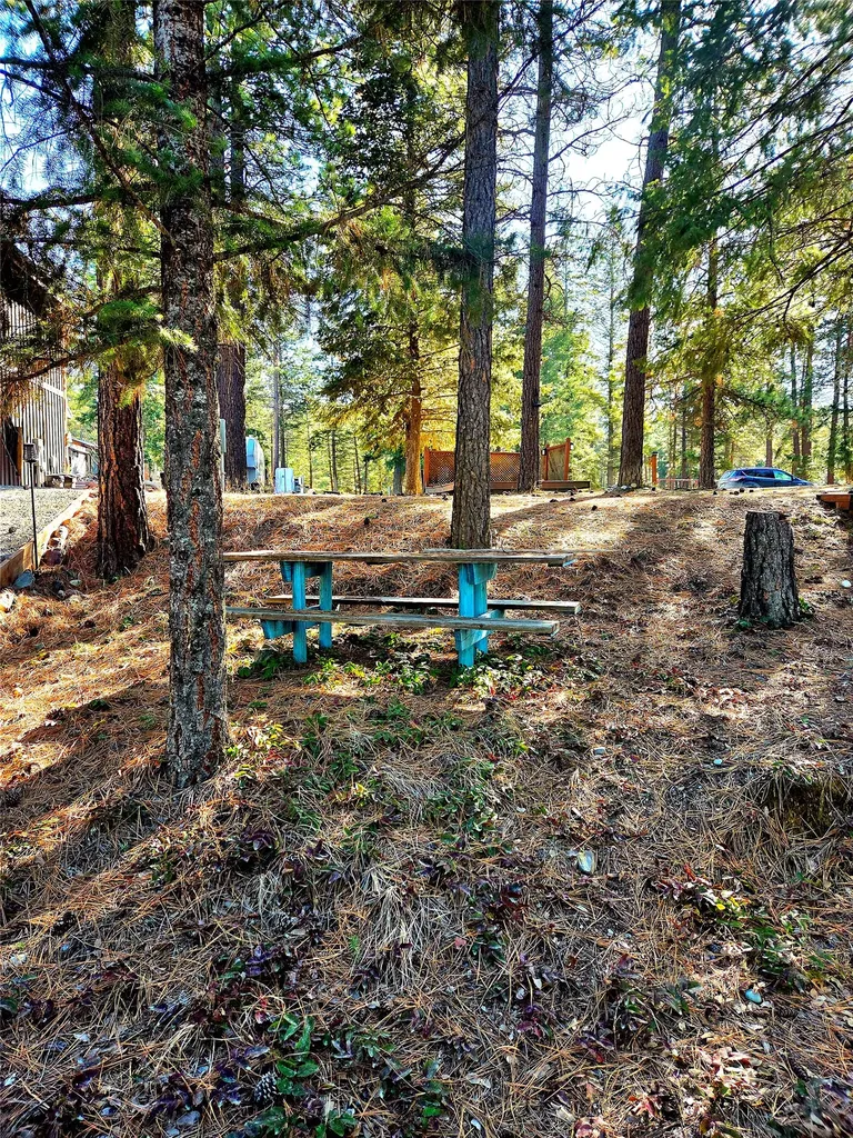 64 Kokanee Drive W Rexford MT 59930