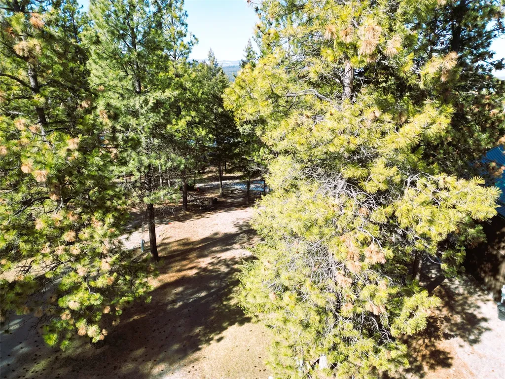 64 Kokanee Drive W Rexford MT 59930