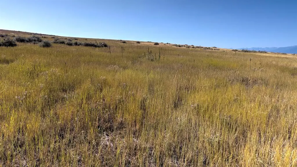 Lot 56 A & B Three Mile Drive N Stevensville MT 59870