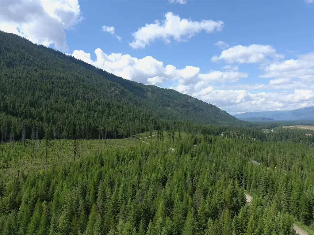 L1 Lower Stanley Cutoff Road Troy MT 59935