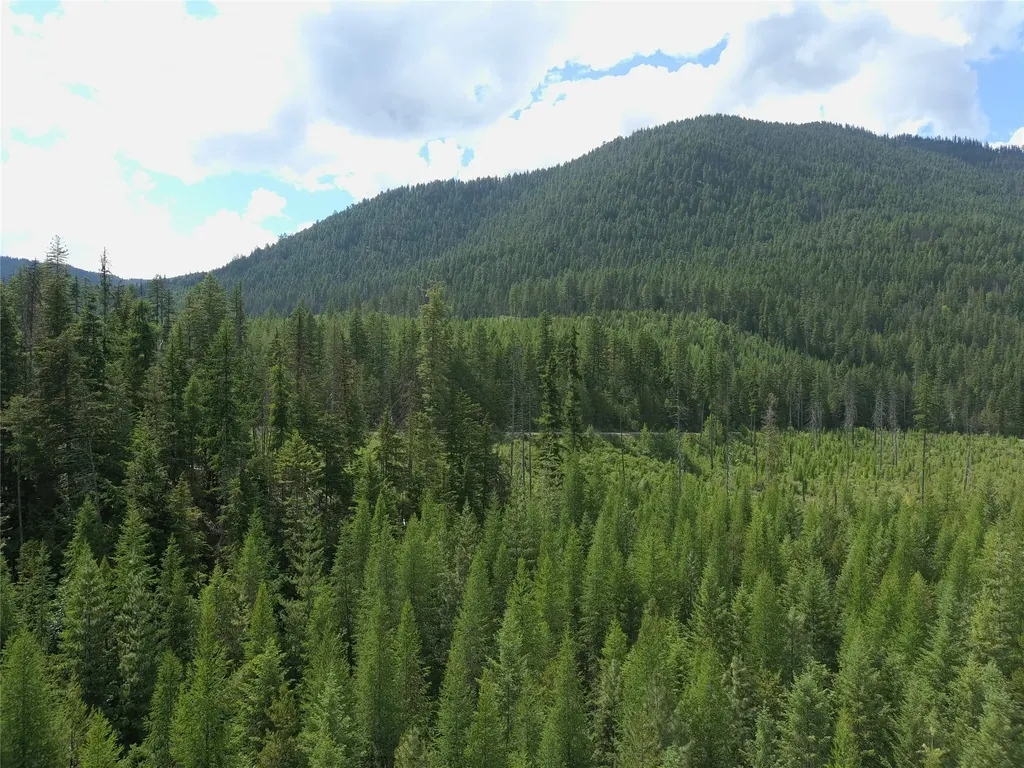 L1 Lower Stanley Cutoff Road Troy MT 59935