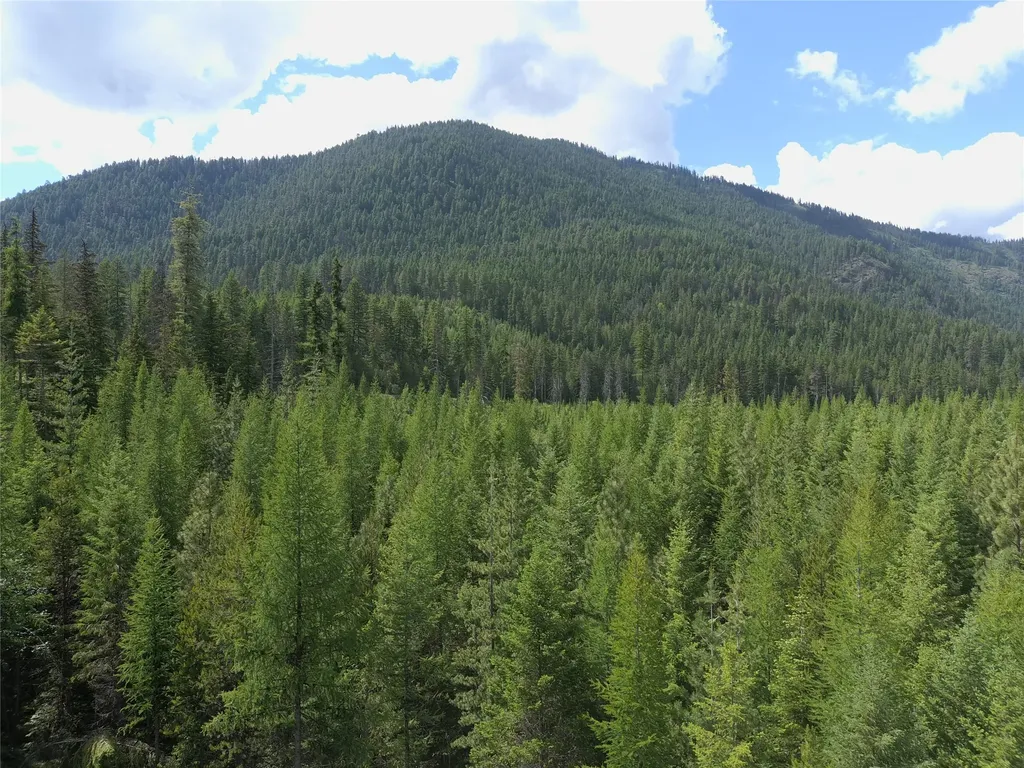 L1 Lower Stanley Cutoff Road Troy MT 59935