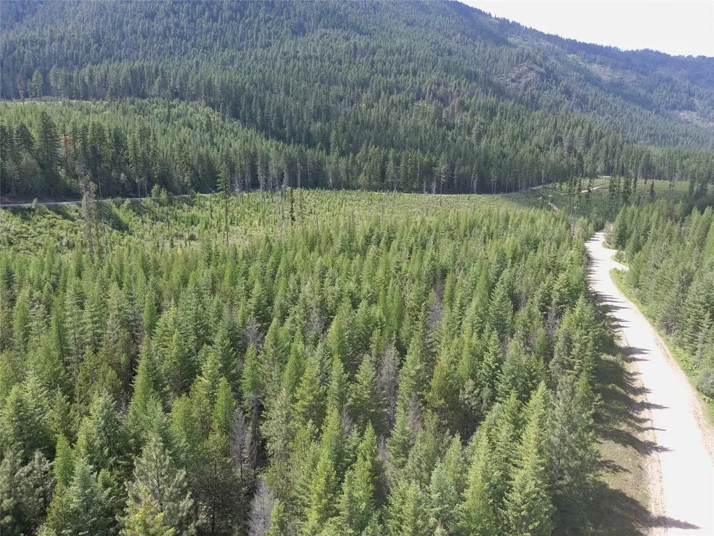L1 Lower Stanley Cutoff Road Troy MT 59935