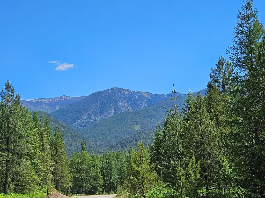 L1 Lower Stanley Cutoff Road Troy MT 59935