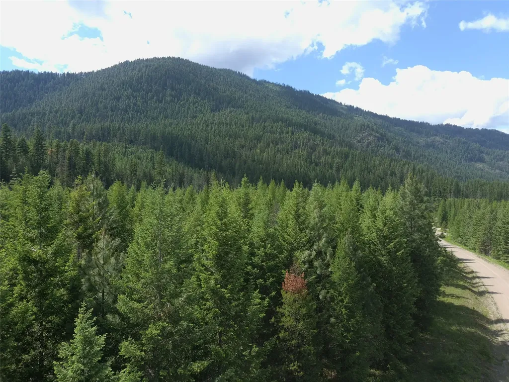 L1 Lower Stanley Cutoff Road Troy MT 59935